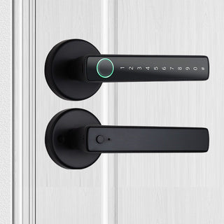 Sakerplus Smart Keyless Entry Door Lock