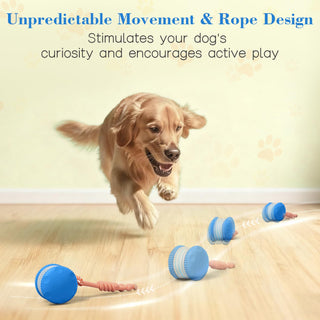 Sakerplus® Interactive Automatic Dog Toy Ball