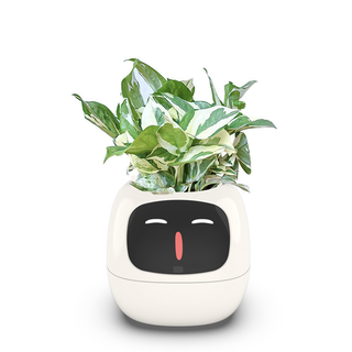 Sakerplus Smart Flowerpots