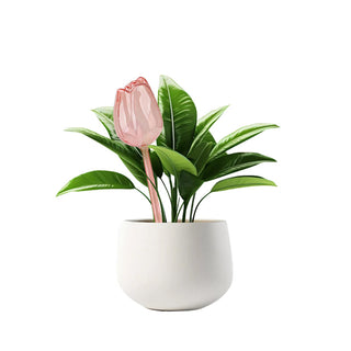 Sakerplus® Self Watering Globes For Plants