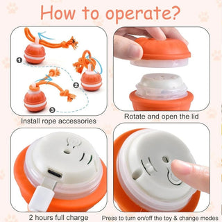 Sakerplus® Interactive Smart Rolling Pet Ball