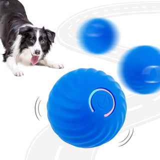 Sakerplus® Electric Rolling Pet Toy Ball