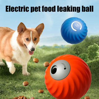 Sakerplus Electric Pet Food Leaking Ball