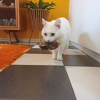 Sakerplus® Simulated Chirping Bird