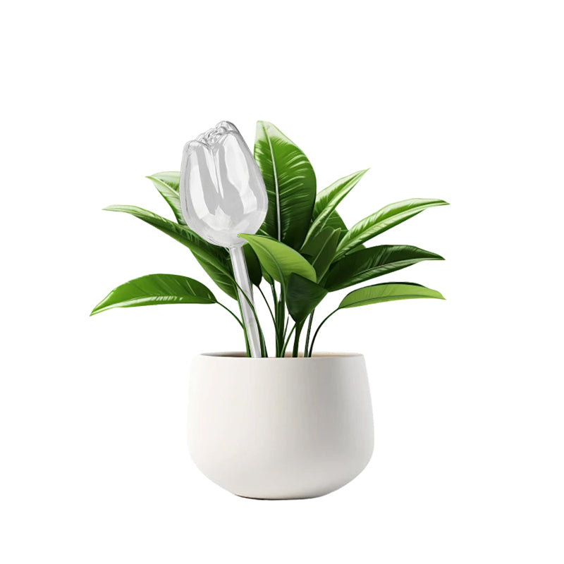 Sakerplus® Self Watering Globes For Plants