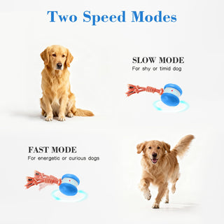 Sakerplus® Interactive Automatic Dog Toy Ball