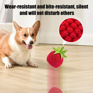 Sakerplus Electric Pet Food Leaking Ball