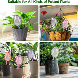 Sakerplus® Self Watering Globes For Plants