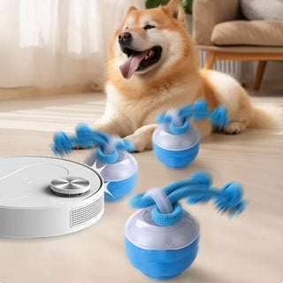 Sakerplus® Interactive Smart Rolling Pet Ball