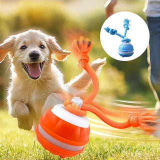 Sakerplus® Interactive Smart Rolling Pet Ball