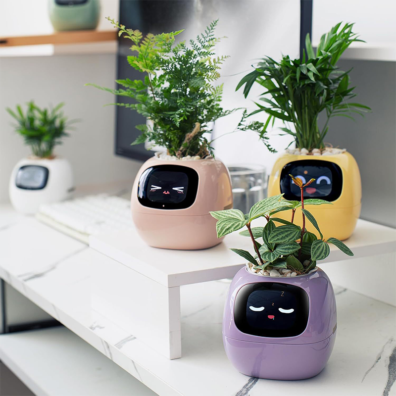 Sakerplus Smart Flowerpots