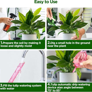 Sakerplus® Self Watering Globes For Plants