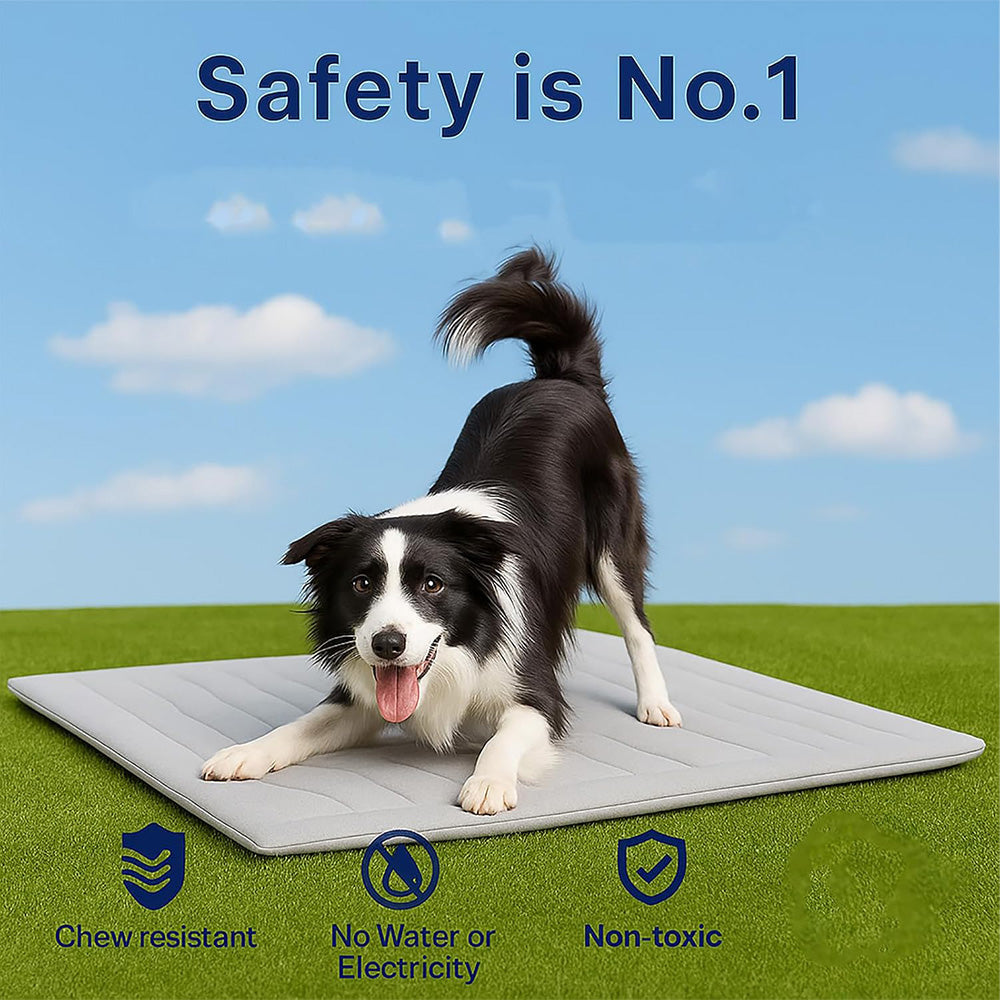 Sakerplus Reversible Cooling Mat for Pets