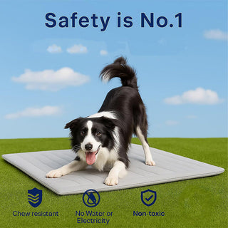 Sakerplus Reversible Cooling Mat for Pets