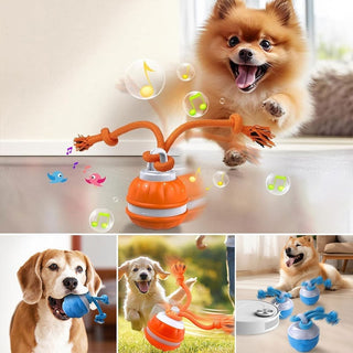 Sakerplus® Interactive Smart Rolling Pet Ball