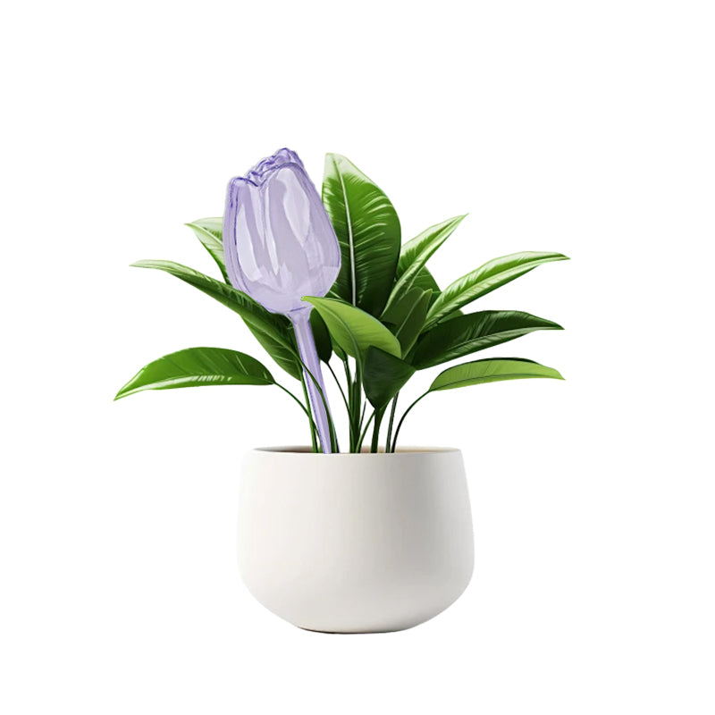 Sakerplus® Self Watering Globes For Plants