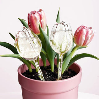 Sakerplus® Self Watering Globes For Plants