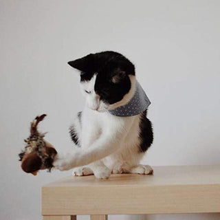 Sakerplus® Simulated Chirping Bird