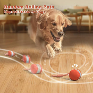 Sakerplus® Interactive Dog Toys