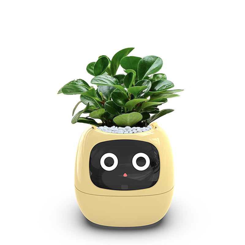 Sakerplus Smart Flowerpots