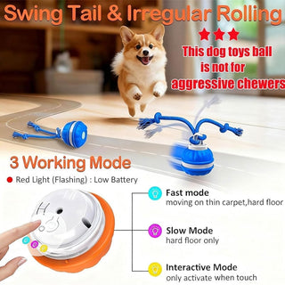 Sakerplus® Interactive Smart Rolling Pet Ball