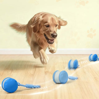 Sakerplus® Interactive Dog Toys