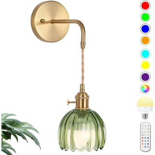 Sakerplus Battery-Powered RGB Wall Sconce Set