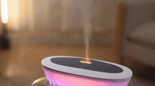 Sakerplus Micro Humidifier