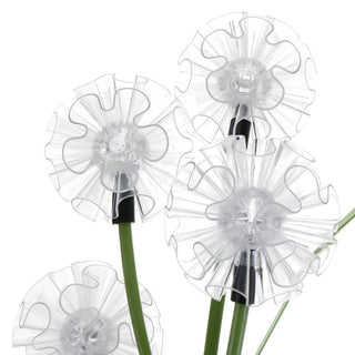 Solar Dandelion Light