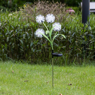 Solar Dandelion Light