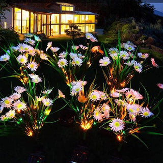 Solar Powered Daisy Flower Light