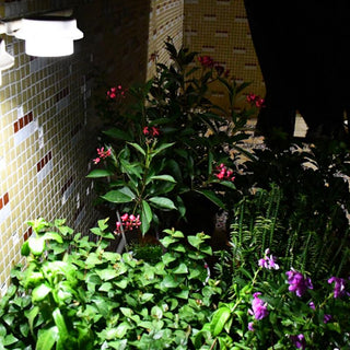 Solar Powered Wall Light