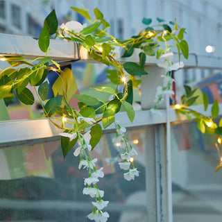 Solar Rattan String Lights