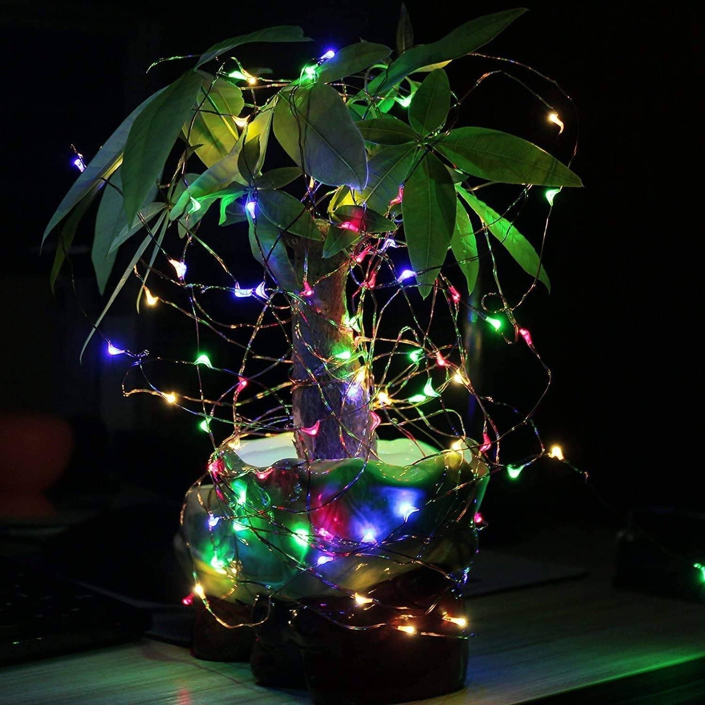 Solar Fairy String Light