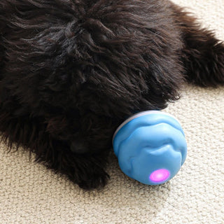 Sakerplus® Interactive Smart Rolling Pet Ball
