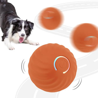 Sakerplus® Electric Rolling Pet Toy Ball