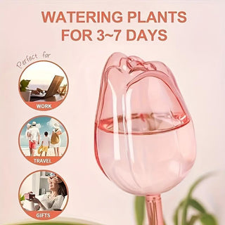 Sakerplus® Self Watering Globes For Plants