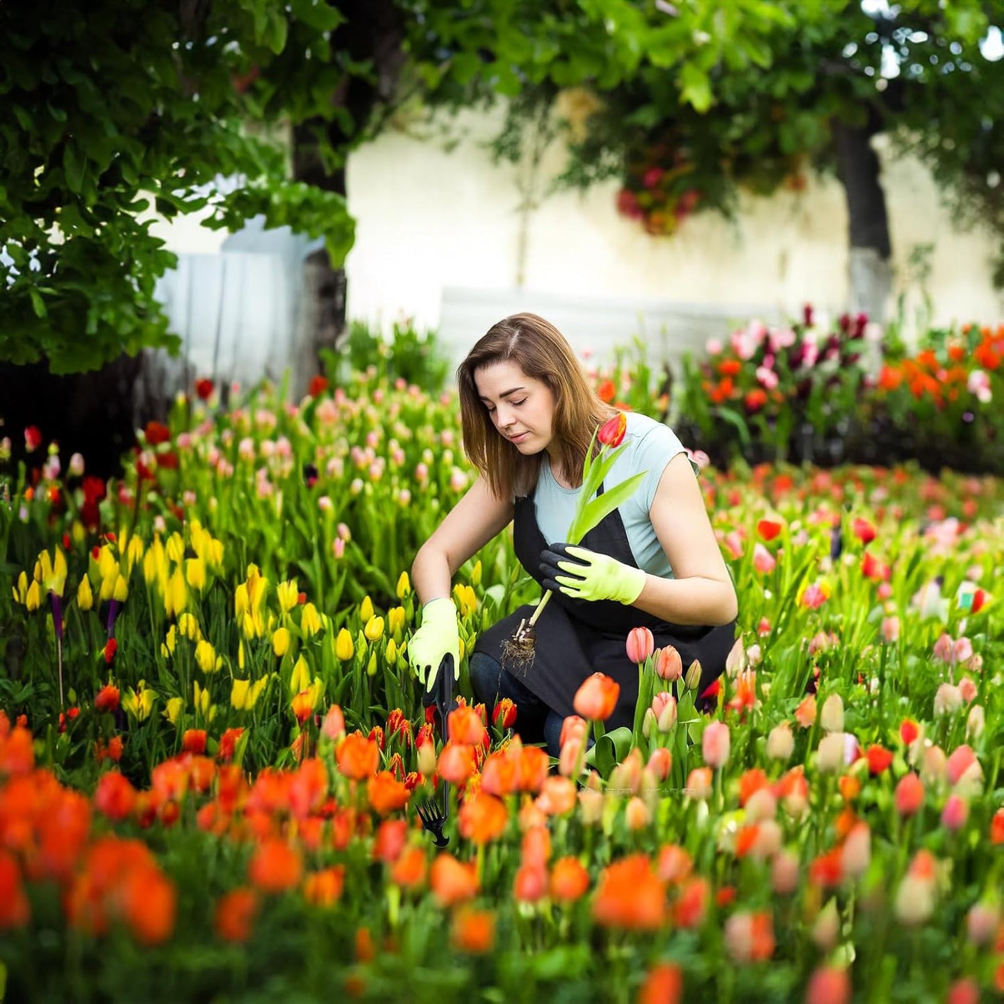 Saker Garden Weed Pulling Tool