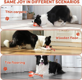 Sakerplus® Interactive Dog Toys