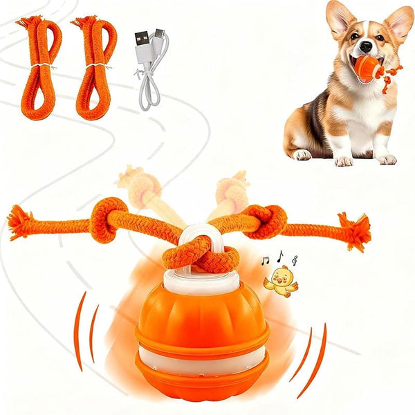 Sakerplus® Interactive Smart Rolling Pet Ball