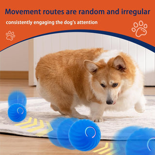 Sakerplus® Electric Rolling Pet Toy Ball