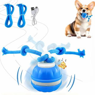 Sakerplus® Interactive Smart Rolling Pet Ball