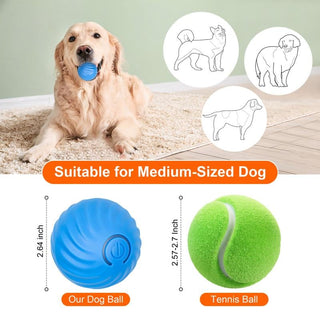 Sakerplus® Electric Rolling Pet Toy Ball