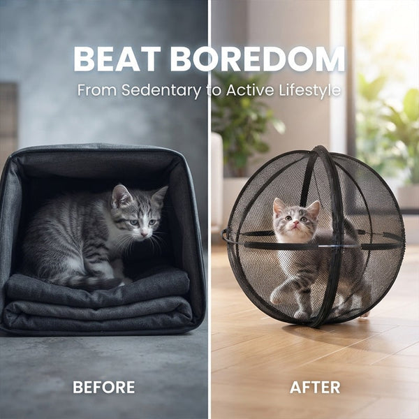 Sakerplus® Rolling Outdoor Cat Ball Enclosure
