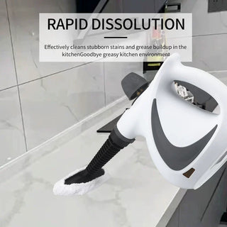 Sakerplus Steam Disinfection Cleaner