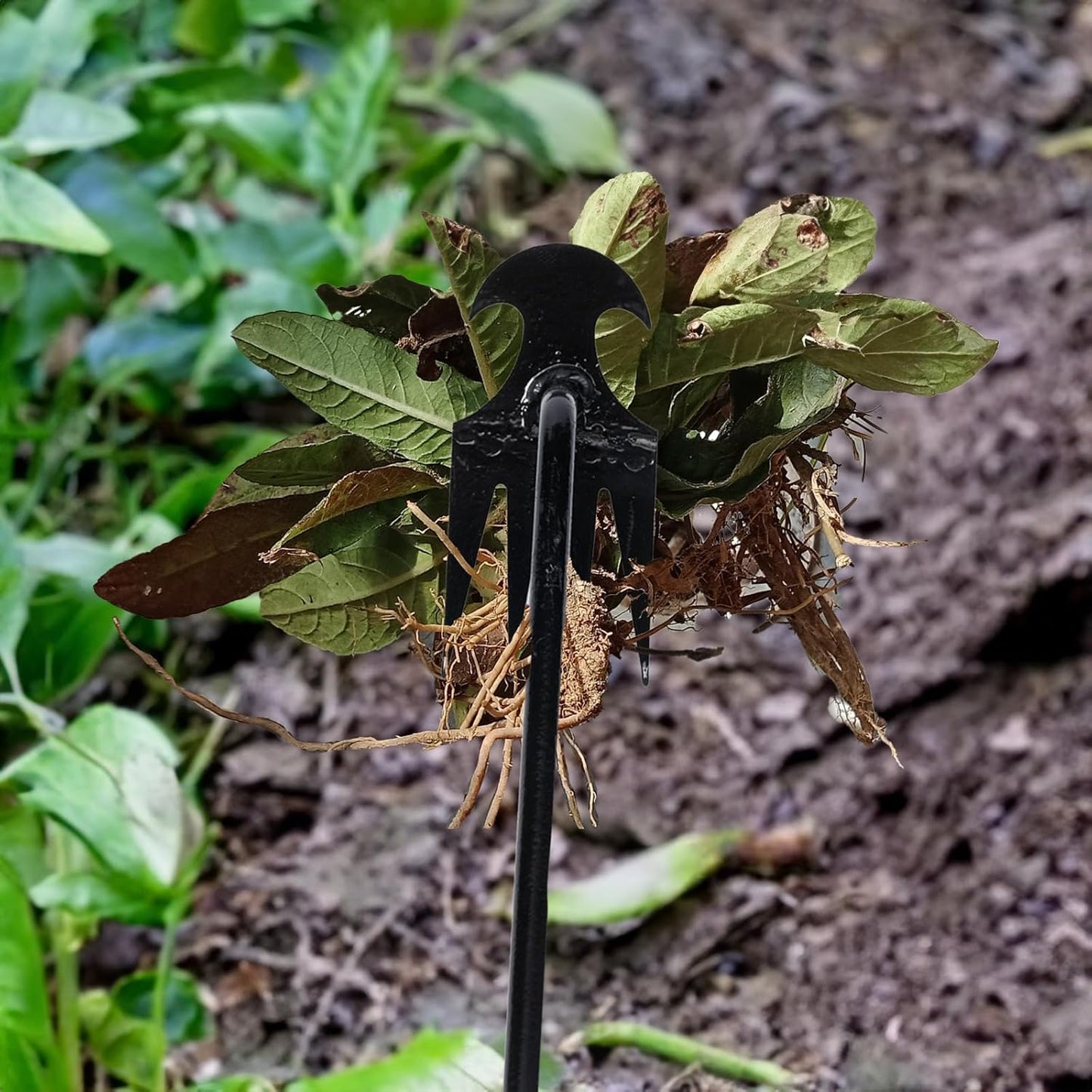 Saker Garden Weed Pulling Tool