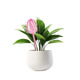 Sakerplus® Self Watering Globes For Plants