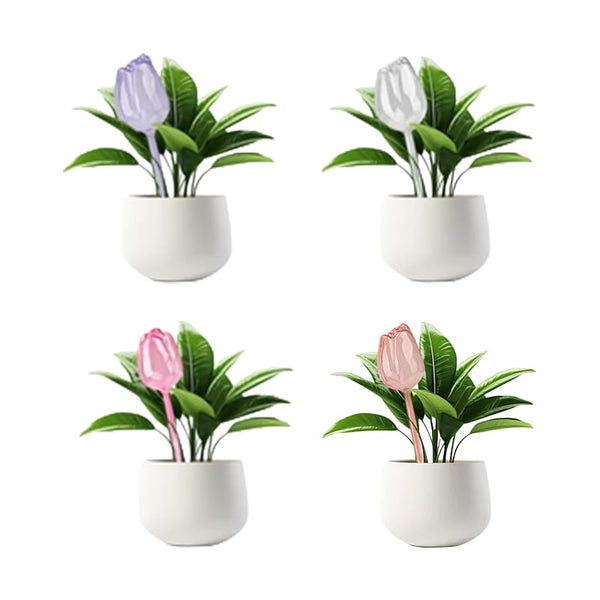 Sakerplus® Self Watering Globes For Plants
