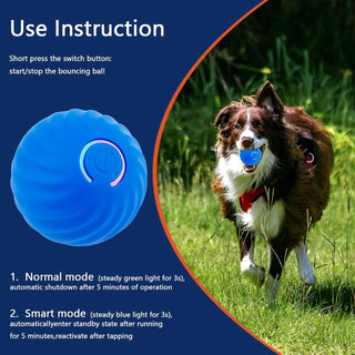 Sakerplus® Electric Rolling Pet Toy Ball