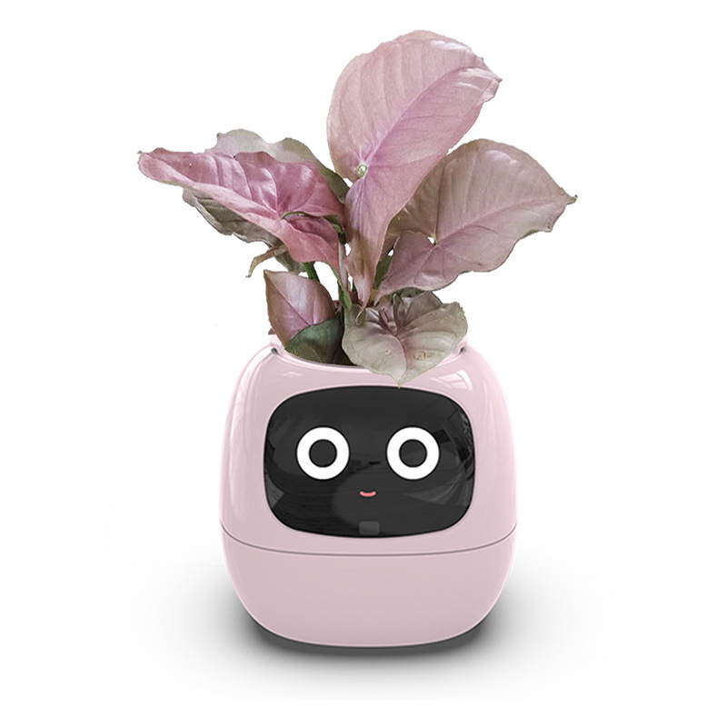 Sakerplus Smart Flowerpots